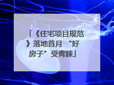 《住宅项目规范》落地首月 “好房子”受青睐
