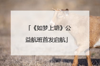 《如梦上塘》公益航班首发启航