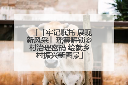 「牢记嘱托 展现新风采」瑶寨解锁乡村治理密码 绘就乡村振兴新图景