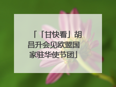 「甘快看」胡昌升会见欧盟国家驻华使节团