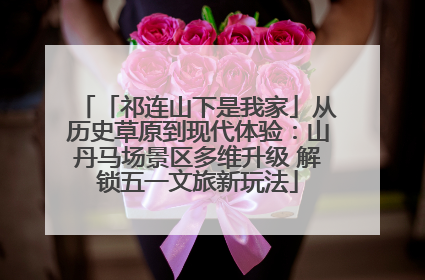 「祁连山下是我家」从历史草原到现代体验：山丹马场景区多维升级 解锁五一文旅新玩法