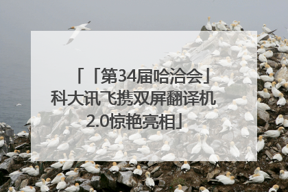 「第34届哈洽会」科大讯飞携双屏翻译机2.0惊艳亮相