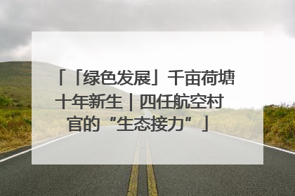 「绿色发展」千亩荷塘 十年新生｜四任航空村官的“生态接力”