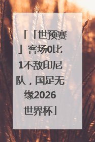 「世预赛」客场0比1不敌印尼队，国足无缘2026世界杯