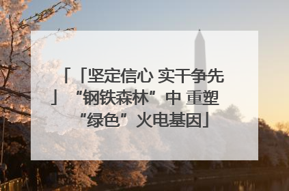 「坚定信心 实干争先」“钢铁森林”中 重塑“绿色”火电基因