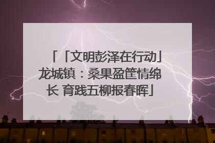 「文明彭泽在行动」龙城镇：桑果盈筐情绵长 育践五柳报春晖