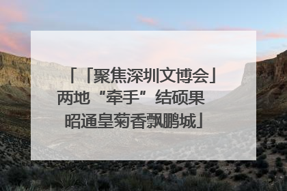 「聚焦深圳文博会」两地“牵手”结硕果 昭通皇菊香飘鹏城