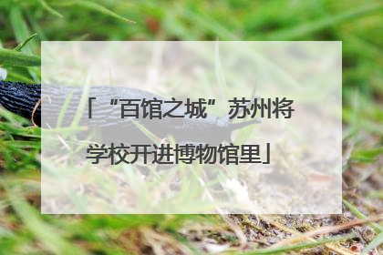 “百馆之城”苏州将学校开进博物馆里