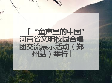 “童声里的中国”河南省文明校园合唱团交流展示活动（郑州站）举行