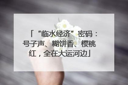 “临水经济”密码：号子声、糊饼香、樱桃红，全在大运河边