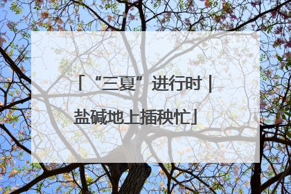 “三夏”进行时｜盐碱地上插秧忙