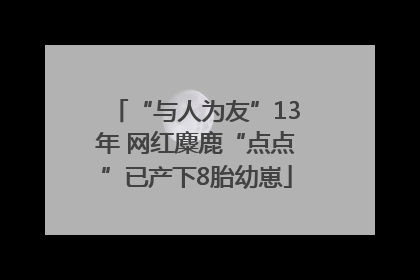 “与人为友”13年 网红麋鹿“点点”已产下8胎幼崽