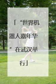 “世界机器人嘉年华”在武汉举行