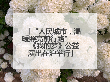 “人民城市，温暖照亮前行路”——《我的梦》公益演出在沪举行