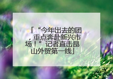 “今年出去的团，重点奔赴新兴市场！”记者直击昆山外贸第一线