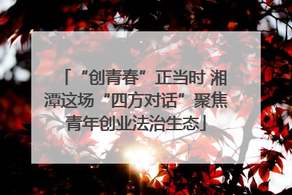 “创青春”正当时 湘潭这场“四方对话”聚焦青年创业法治生态