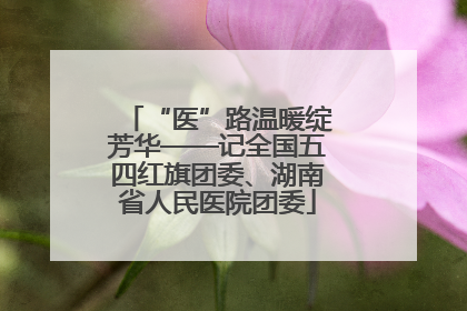 “医”路温暖绽芳华——记全国五四红旗团委、湖南省人民医院团委