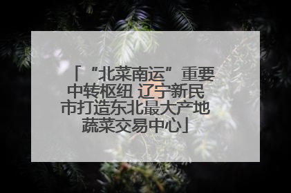 “北菜南运”重要中转枢纽 辽宁新民市打造东北最大产地蔬菜交易中心
