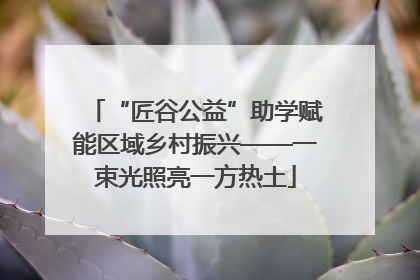 “匠谷公益”助学赋能区域乡村振兴——一束光照亮一方热土