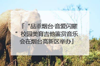 “品重烟台·音爱闪耀”校园美育吉他鉴赏音乐会在烟台高新区举办