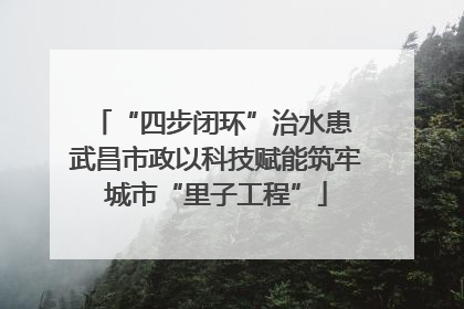 “四步闭环”治水患 武昌市政以科技赋能筑牢城市“里子工程”