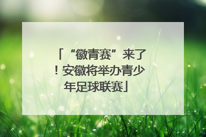 “徽青赛”来了！安徽将举办青少年足球联赛