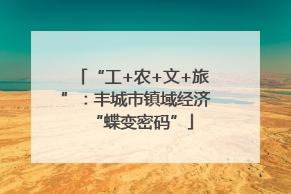 “工+农+文+旅”：丰城市镇域经济“蝶变密码”