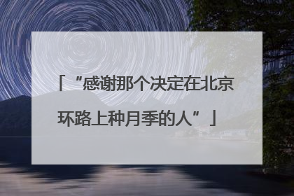 “感谢那个决定在北京环路上种月季的人”