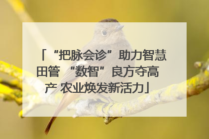 “把脉会诊”助力智慧田管 “数智”良方夺高产 农业焕发新活力