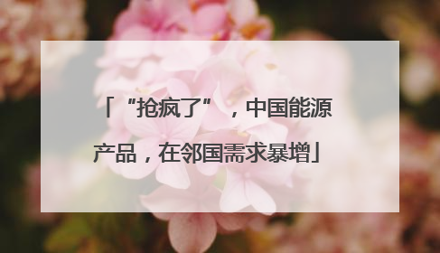 “抢疯了”，中国能源产品，在邻国需求暴增