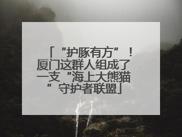 “护豚有方”！厦门这群人组成了一支“海上大熊猫”守护者联盟