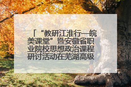 “教研江淮行—皖美课堂”暨安徽省职业院校思想政治课程研讨活动在芜湖高级职业技术学校举行