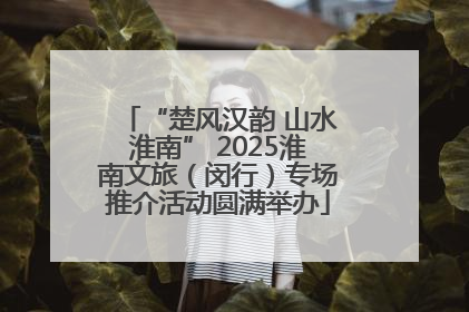 “楚风汉韵 山水淮南” 2025淮南文旅（闵行）专场推介活动圆满举办