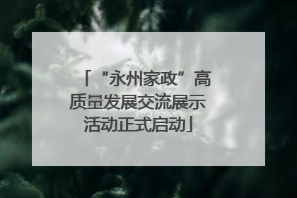 “永州家政”高质量发展交流展示活动正式启动