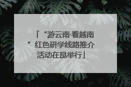 “游云南·看越南”红色研学线路推介活动在昆举行