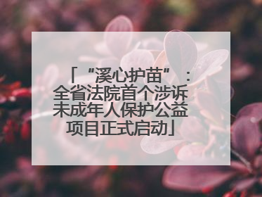 “溪心护苗”：全省法院首个涉诉未成年人保护公益项目正式启动