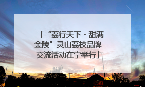“荔行天下・甜满金陵”灵山荔枝品牌交流活动在宁举行