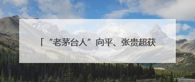 “老茅台人”向平、张贵超获推荐为茅台集团副总经理人选，后者是集团最年轻党委委员