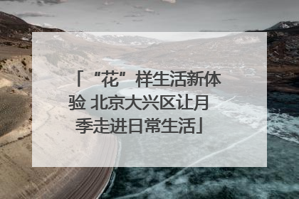 “花”样生活新体验 北京大兴区让月季走进日常生活