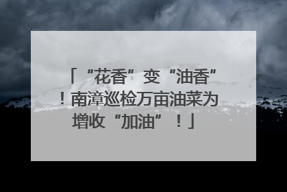 “花香”变“油香”！南漳巡检万亩油菜为增收“加油”！