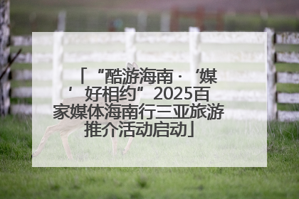“酷游海南 ·‘媒’好相约”2025百家媒体海南行三亚旅游推介活动启动