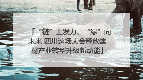 “链”上发力、“绿”向未来 四川这场大会释放建材产业转型升级新动能