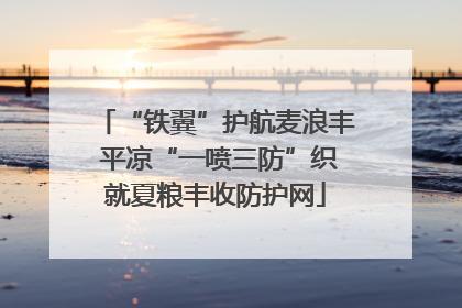 “铁翼”护航麦浪丰 平凉“一喷三防”织就夏粮丰收防护网