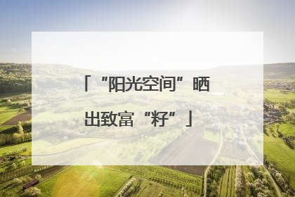“阳光空间”晒出致富“籽”