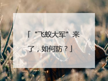 “飞蚁大军”来了，如何防？