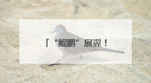 “鲲鹏”展翼！“运-20”入驻西北工业大学