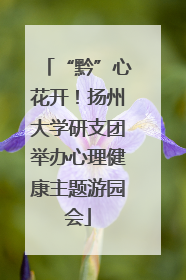 “黔”心花开！扬州大学研支团举办心理健康主题游园会