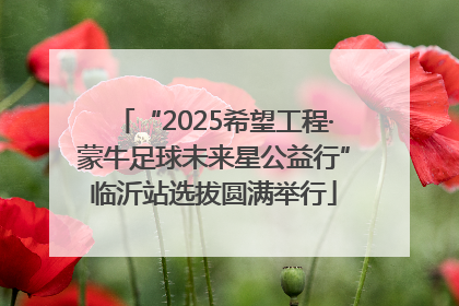 “2025希望工程·蒙牛足球未来星公益行”临沂站选拔圆满举行