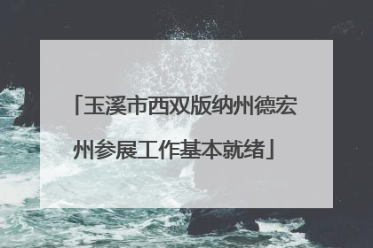 玉溪市西双版纳州德宏州参展工作基本就绪
