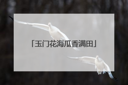 玉门花海瓜香满田
